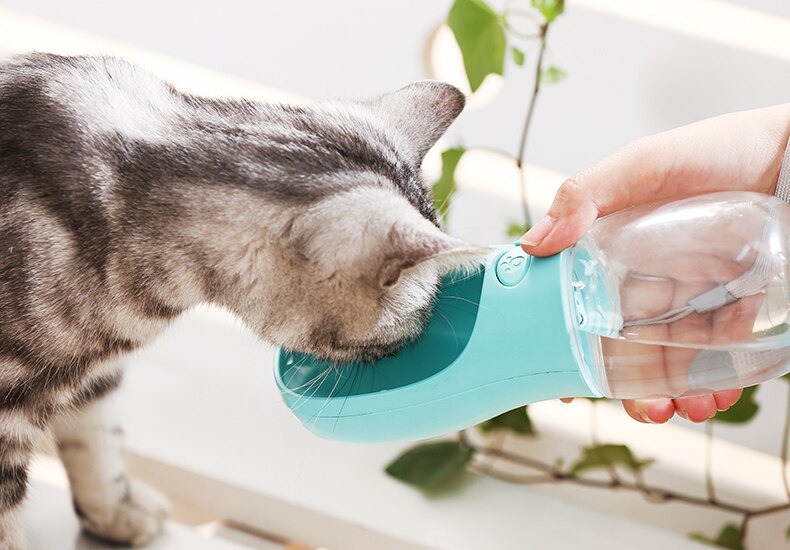 Pet Dog/Cat Water Bottle