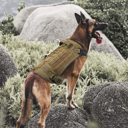 Tactical Outdoor Harness