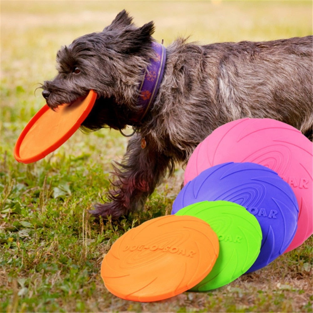 Flying Dog Discs