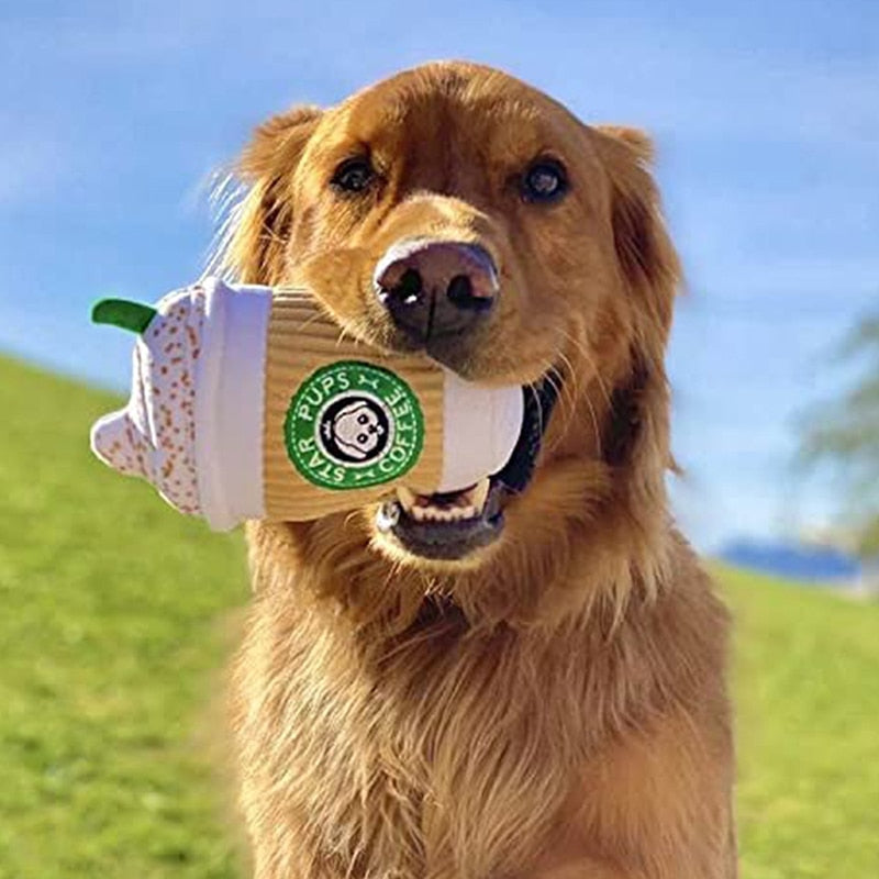 Pup of Coffee