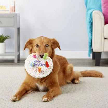 Pet Birthday Hats