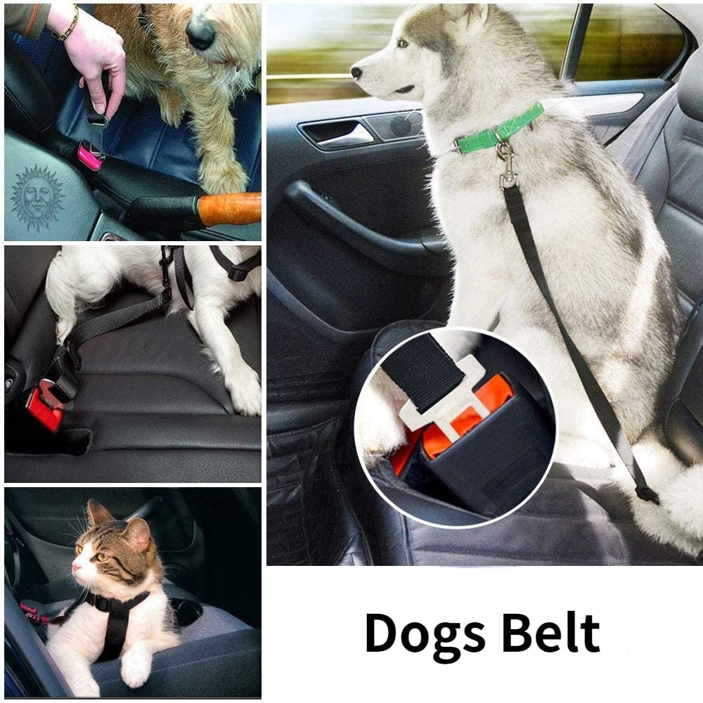 Adjustable Pet seatbelt